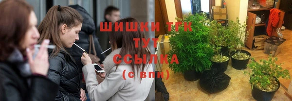 ECSTASY Кодинск