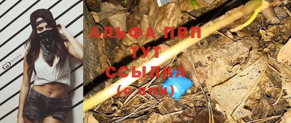 скорость Козловка