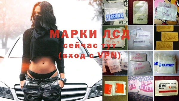 ECSTASY Кодинск