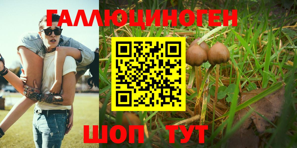 купить  цена  Вход с VPN  Псилоцибиновые грибы мицелий  Тавда  Псилоцибиновые грибы GOLDEN TEACHER 
