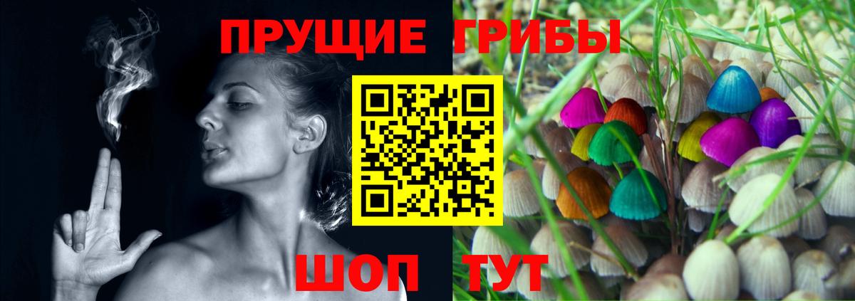 закладки  Псилоцибиновые грибы Magic Shrooms  Вход с VPN  Тавда 